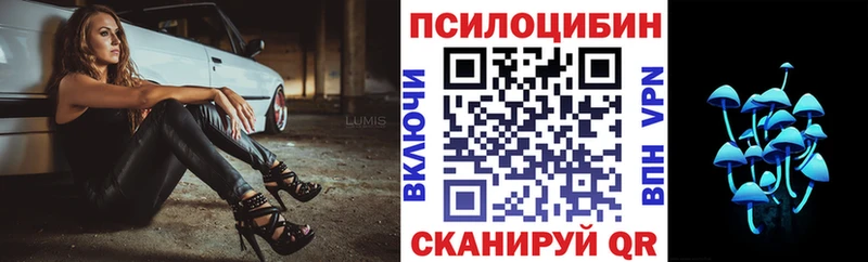 Псилоцибиновые грибы Magic Shrooms  Купить  Всеволожск 